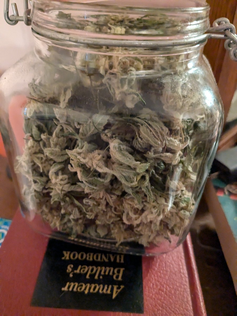 PunkAssUnionCat💙💛 tweet media