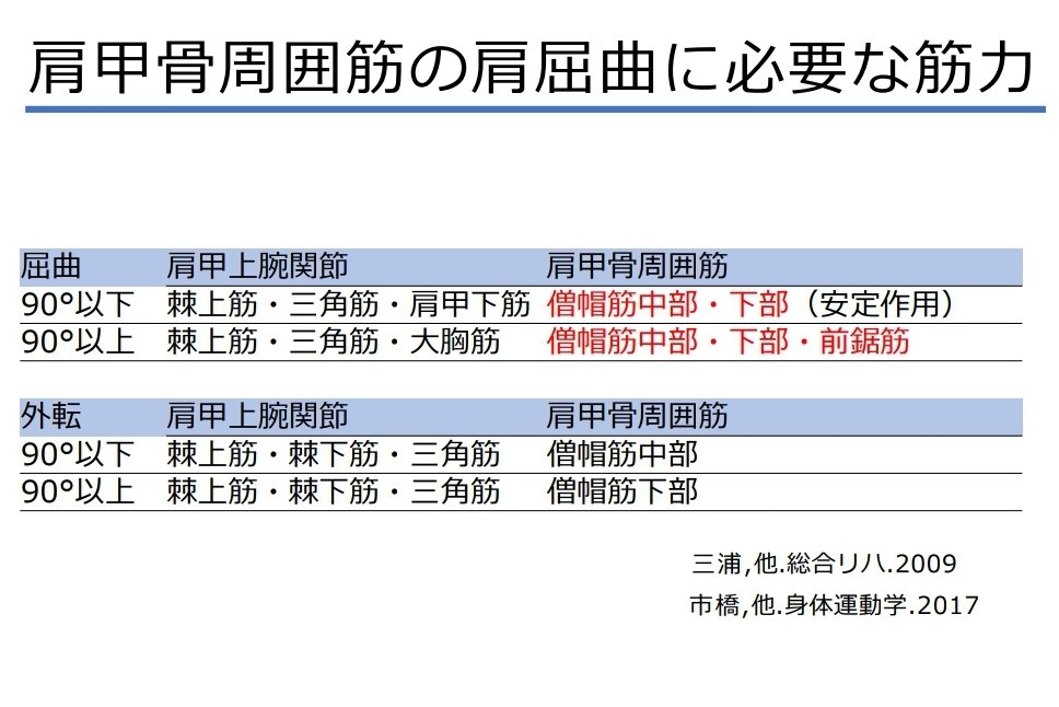 root1000po's tweet photo. 院内の肩の勉強会で提示するスライドです。肩は体幹機能の影響を強く受けるのでこれだけでは語れませんが、若手の頃これを頭に入れただけでも評価の視点が広がりました。 https://t.co/JDJN3twh74