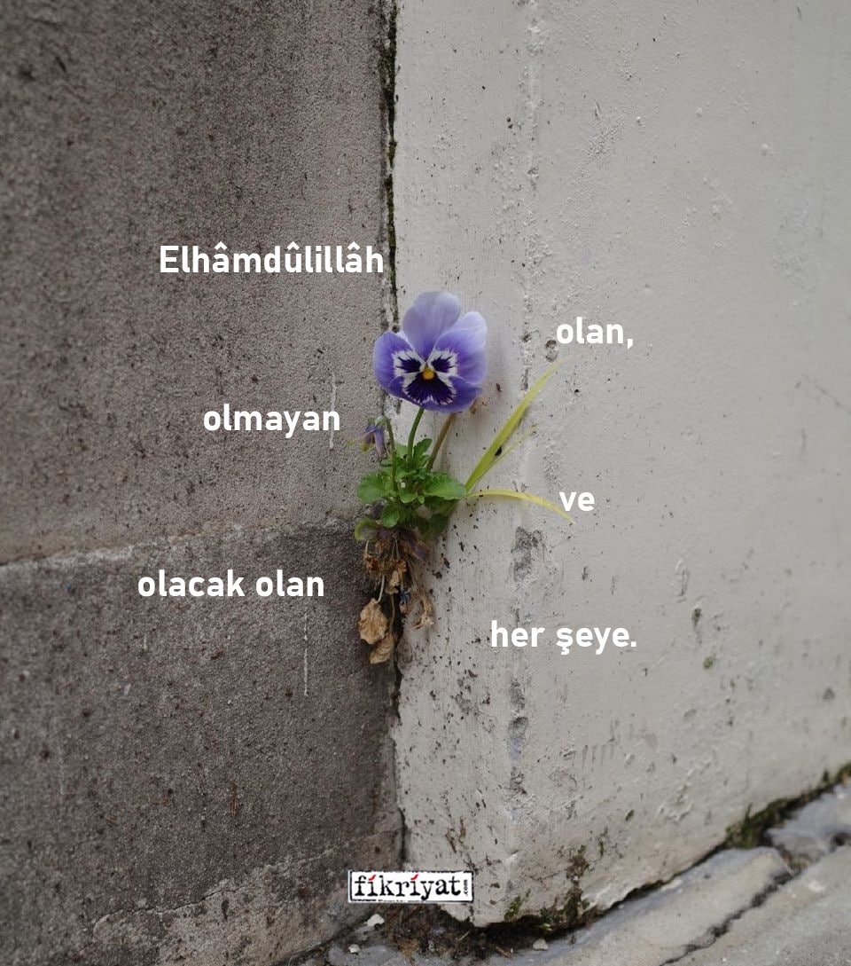 fikriyatcom's tweet photo. Elhâmd��lillâh; olan, olmayan, ve olacak olan her şeye...