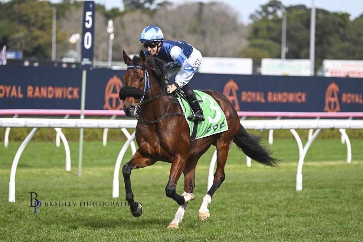 RacingJJJ's tweet photo. 🏆 RAJNISH heads to @DubboTurfClub this afternoon to tackle the $150k Dubbo Gold Cup.

He had a nice trial on Monday in preparation for today, following a gallant 2nd in the Moree Cup earlier this month.

Good luck to Jake, @camcrockettrace and everyone involved 🐎🤞🏼🏆 https://t.co/RQegofWQB0