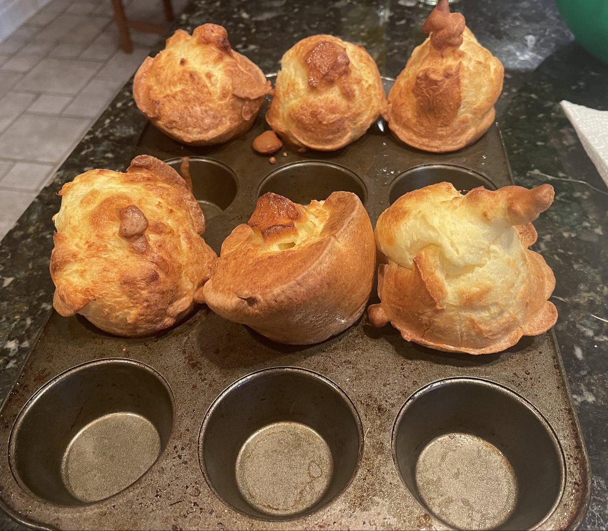 The wife’s Yorkies are the star