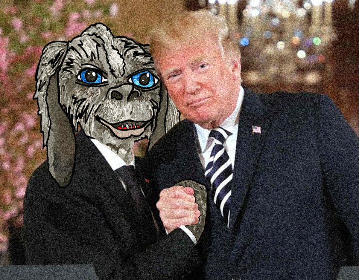 nunopork tweet media