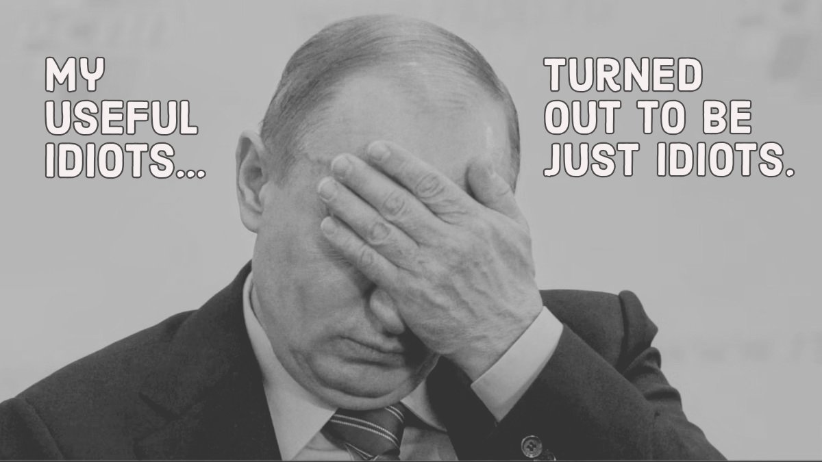 PunkAssUnionCat💙💛 tweet media