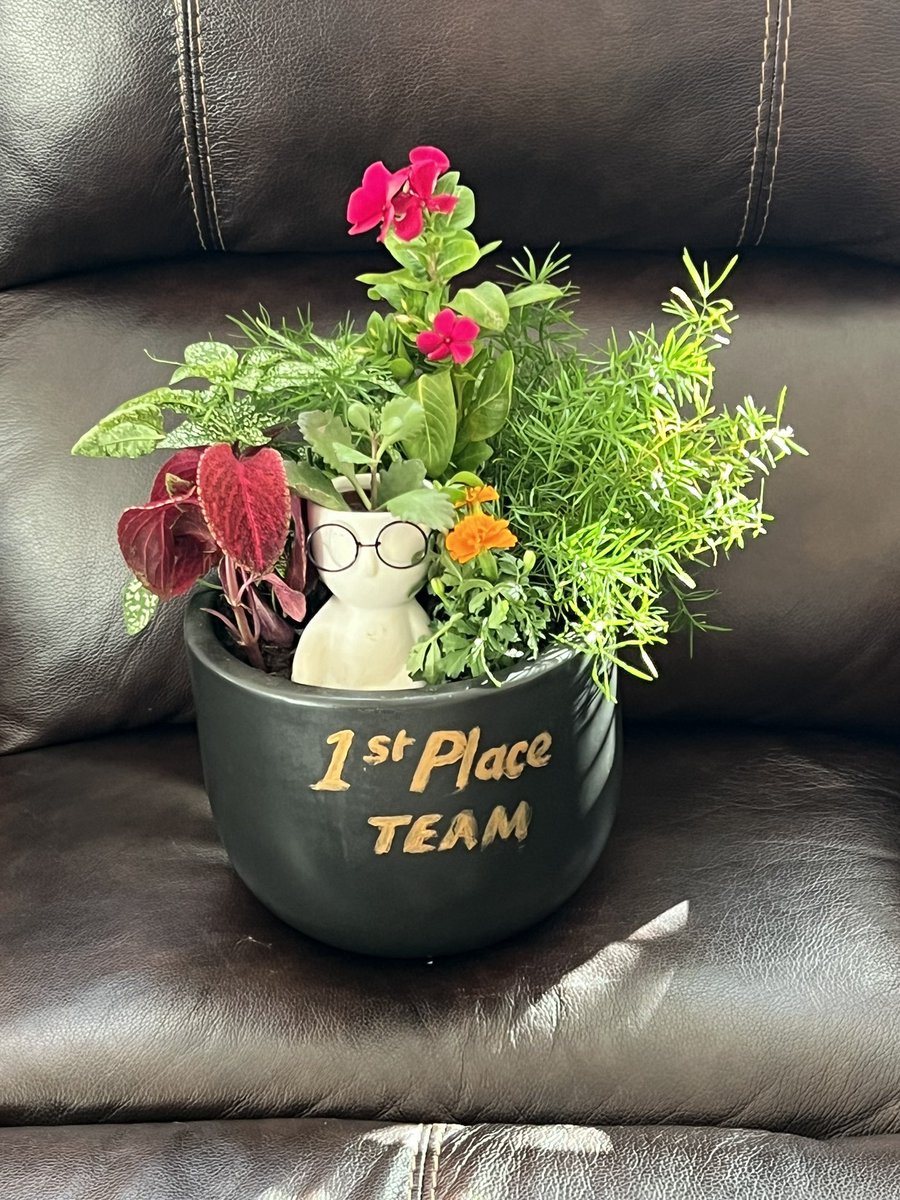 Dave Johnston (@johnston_msmath) on Twitter photo Great trophy! <a href="/NISDHCHS/">NISD Health Careers</a> at their first Academic Decathlon scrimmage of the year Great trophy! <a href="/NISDHCHS/">NISD Health Careers</a> at their first Academic Decathlon scrimmage of the year