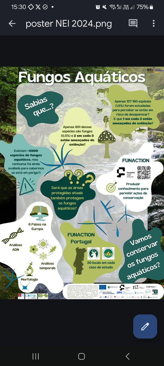 FUNACTION tweet media