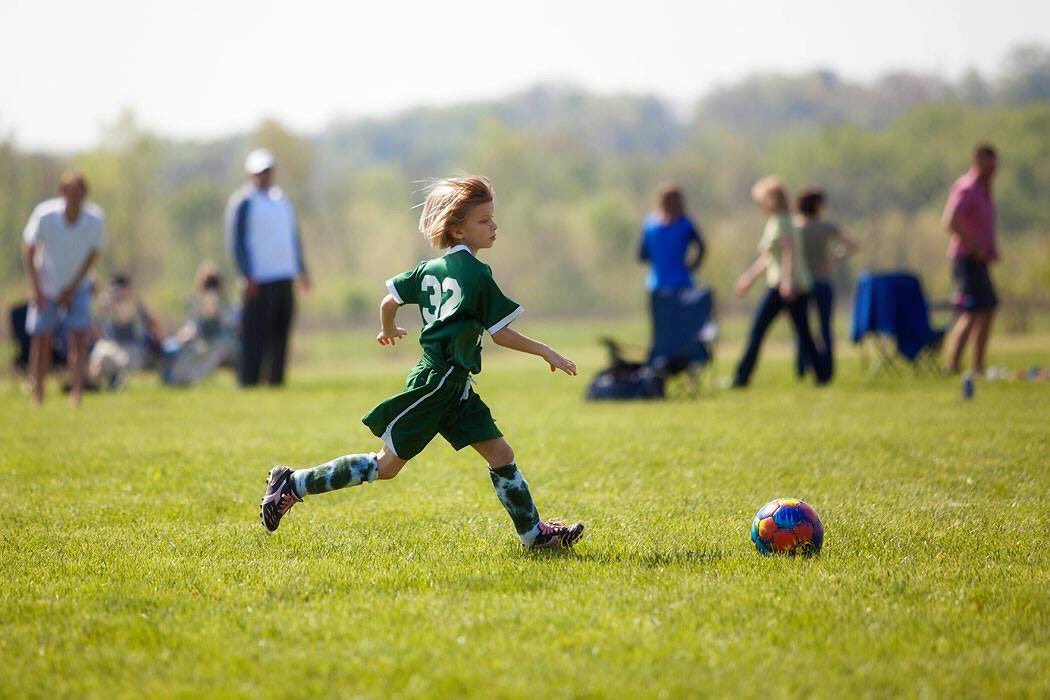 Carolyn Federle tweet media