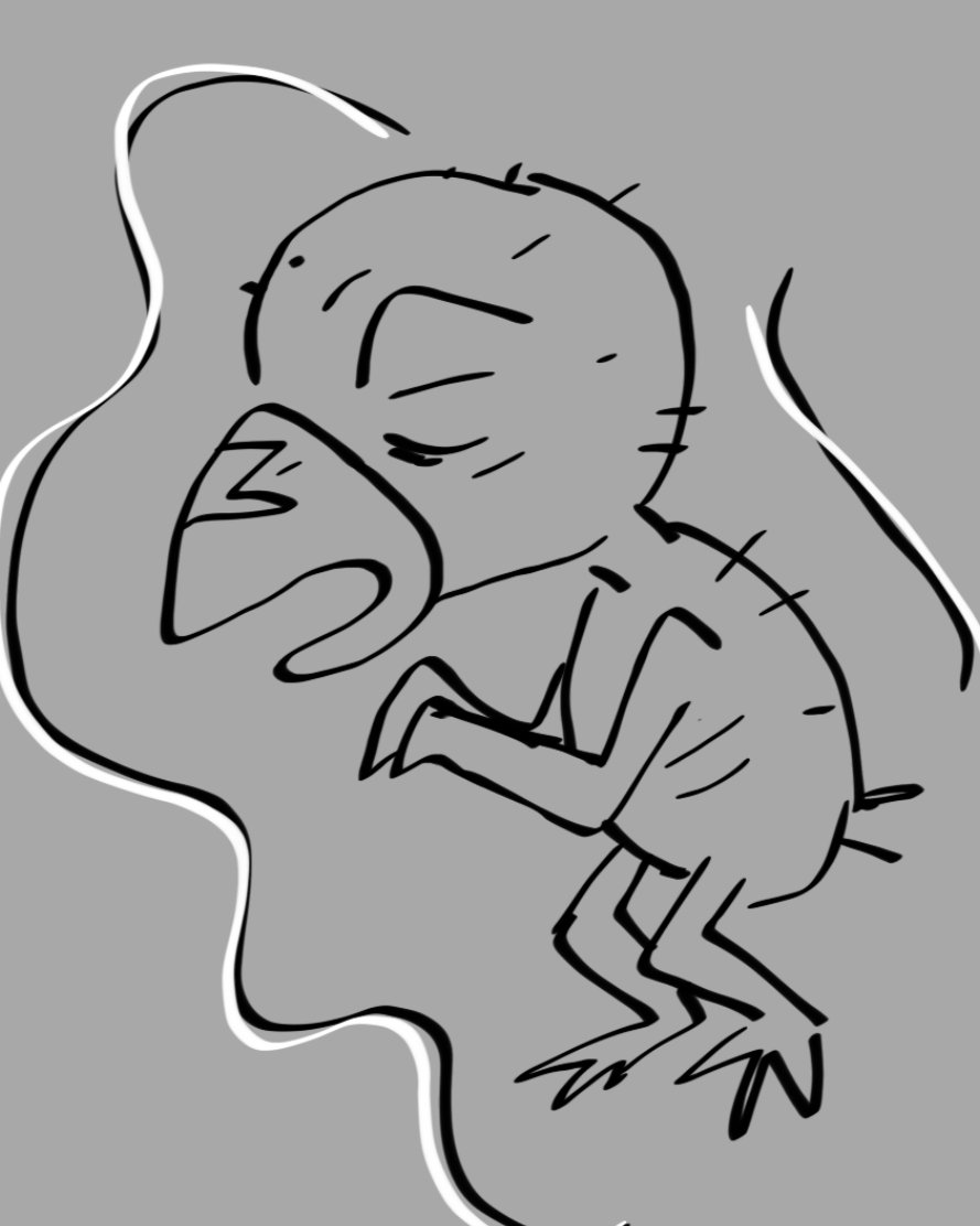 Vosky (@bobmacvosky) on Twitter photo 