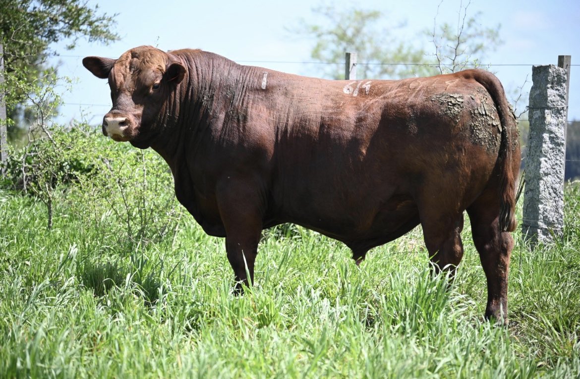 Se van poniendo los nenes para el 12/10 en Flores!!