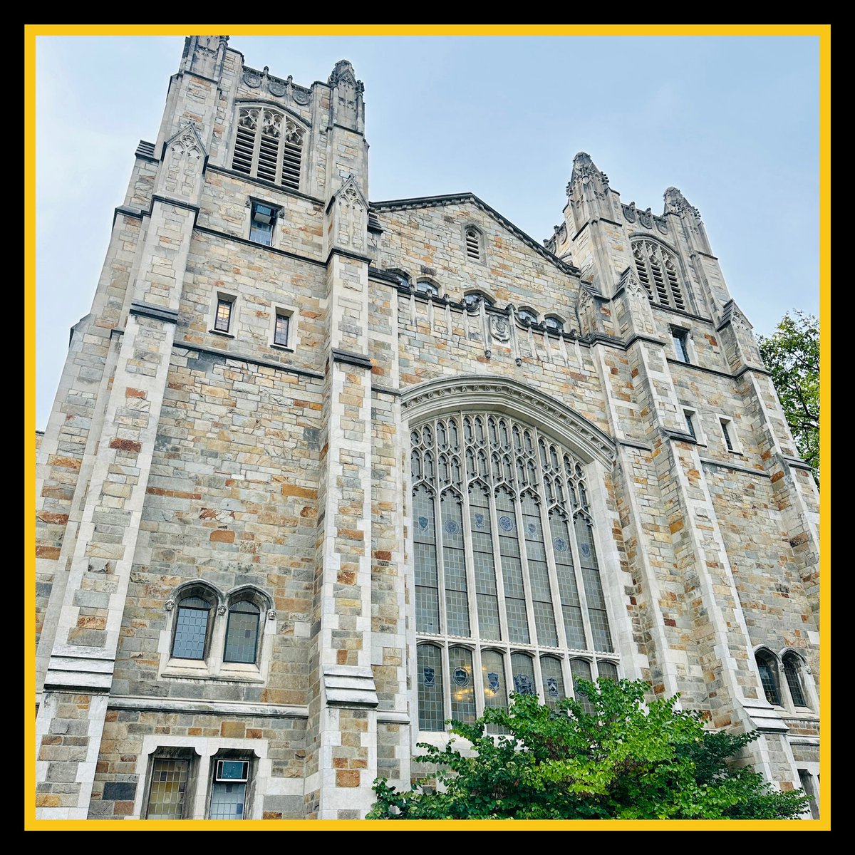 Laura Caba tweet media