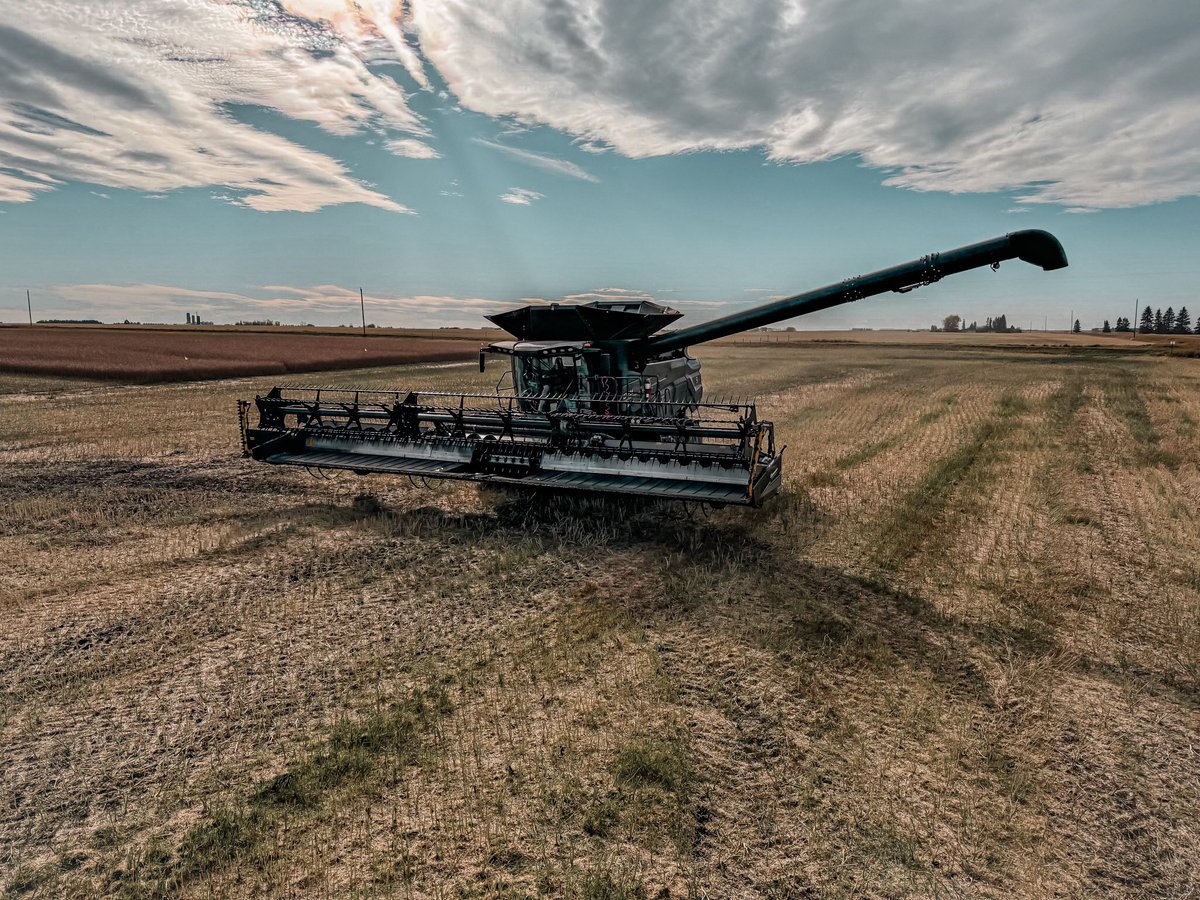 Talissa Munce🌻 (@talissa_munce) on Twitter photo canola plot coming off this afternoon!
huge thank you to Gary & <a href="/edwardmeadowlea/">Edward Richards</a> for another great plot season! your years of plot work with us is greatly appreciated. Thank you!
#Harvest24
#dekalbcanola canola plot coming off this afternoon!
huge thank you to Gary & <a href="/edwardmeadowlea/">Edward Richards</a> for another great plot season! your years of plot work with us is greatly appreciated. Thank you!
#Harvest24
#dekalbcanola