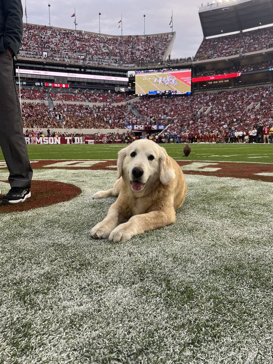 KirkHerbstreit's tweet image. Calm before the storm in Tuscaloosa before kickoff