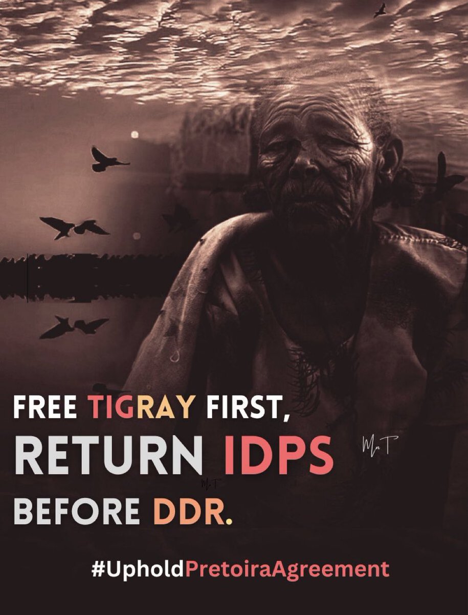 According to the CoHA agreement, Tigray must be free from #Eritrea’n &amp; Amhara forces before any #DDR discussions. 

<a href="/MikeHammerUSA/">Mike Hammer</a> ,the U.S. gov.t  must prioritize a free #Tigray &amp; the return of IDPs to their homeland.<a href="/UNOAU_/">UN Office to the African Union - UNOAU</a> <a href="/UNOCHA/">UN Humanitarian</a> 
 <a href="/AsstSecStateAF/">Bureau of African Affairs</a> 
#UpholdThePretoriaAgreement