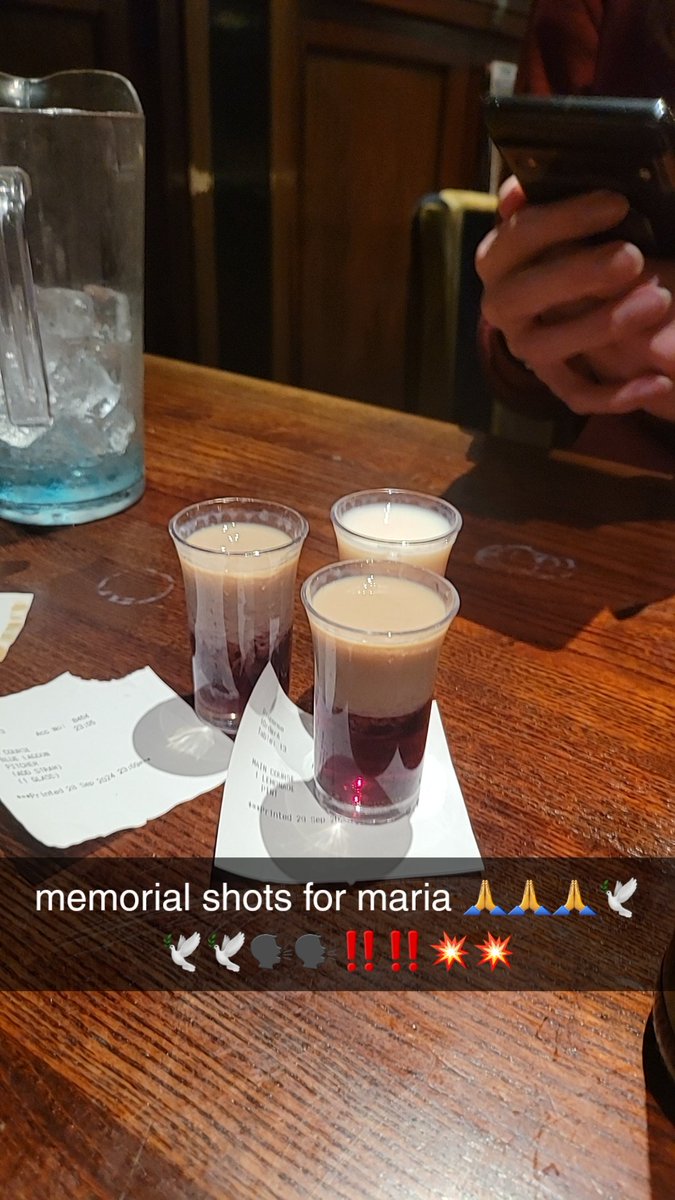 Neremik's tweet photo. memorial shots for maria following the sonic symphony (we all cheered when she got shot) https://t.co/nnbjPlF75J