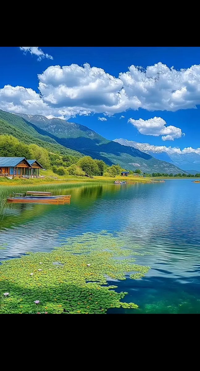 shuhongwei22's tweet photo. 去了不同的地方，看了不同的风景，知道了不同的事，感悟了不同的人生！ https://t.co/wvvXowNqjt