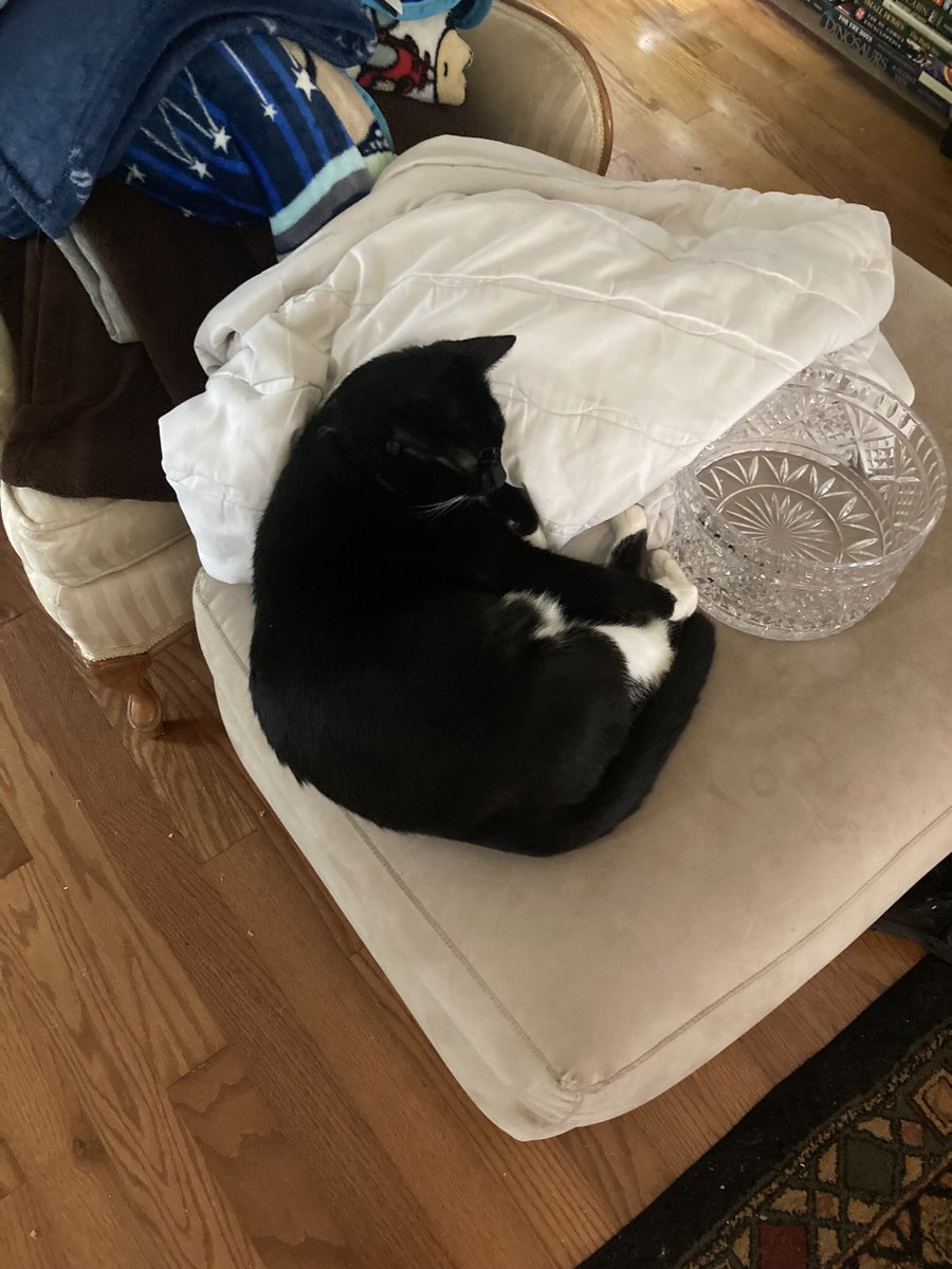 Jen Reads the Rainbow 🌈 tweet media