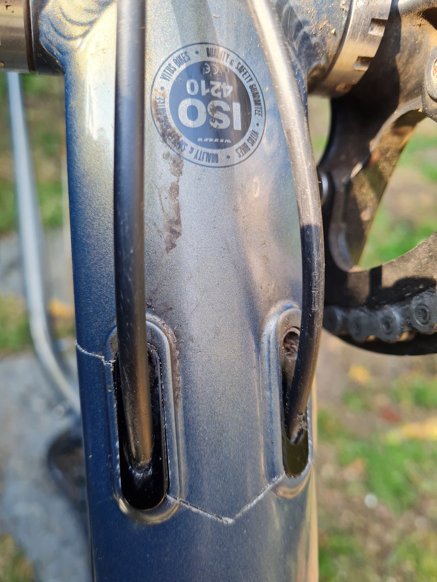 Steiner #RejoinEU 🇪🇺 tweet media