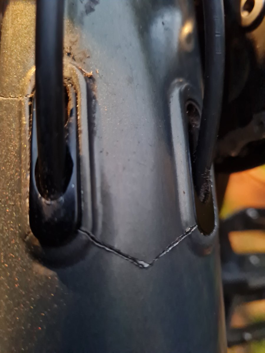 Steiner #RejoinEU 🇪🇺 tweet media