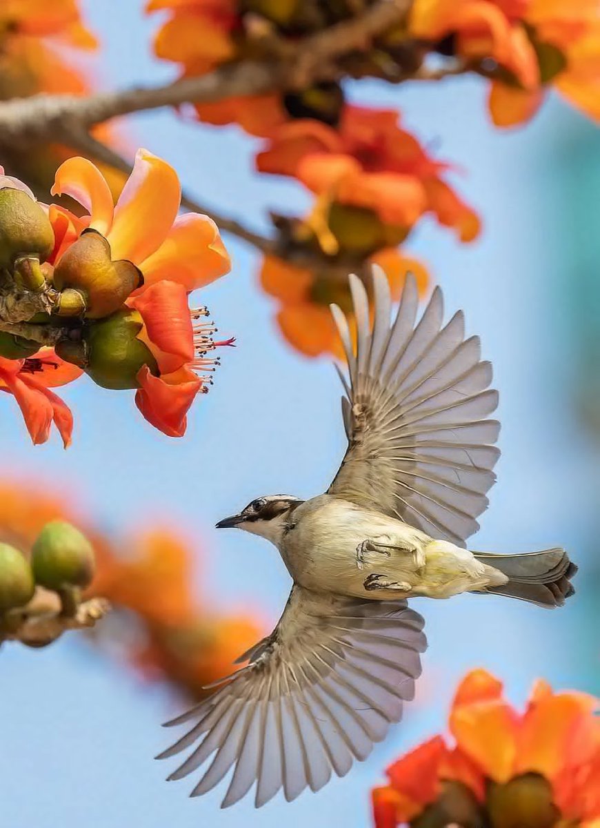 ClingyDevil's tweet photo. Patience is not simply the ability to wait - it's how we behave while we're waiting.                                                                    
                                                              
 Joyce Meyer https://t.co/76fTDaulA6