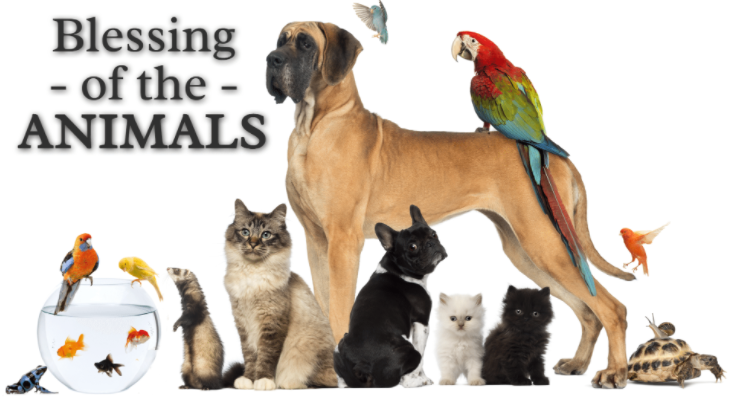 GopHampton's tweet photo. Fri 10/04 #blessingoftheanimals Info4 Sun09/29-Sun 10/06.Upcoming Events https://t.co/RPLaIwsqSt #nh02 #cd01 #cd02 #nhgov #nhvote #SaveOurOcean #BlueEarth #NHEducators #nhedu #saveourplanet #Gratitude #hope #rockinghamcountynh #seacoastnh #hamptonnh #stopoffshorewind #votered2024 https://t.co/xZOrnaojpX