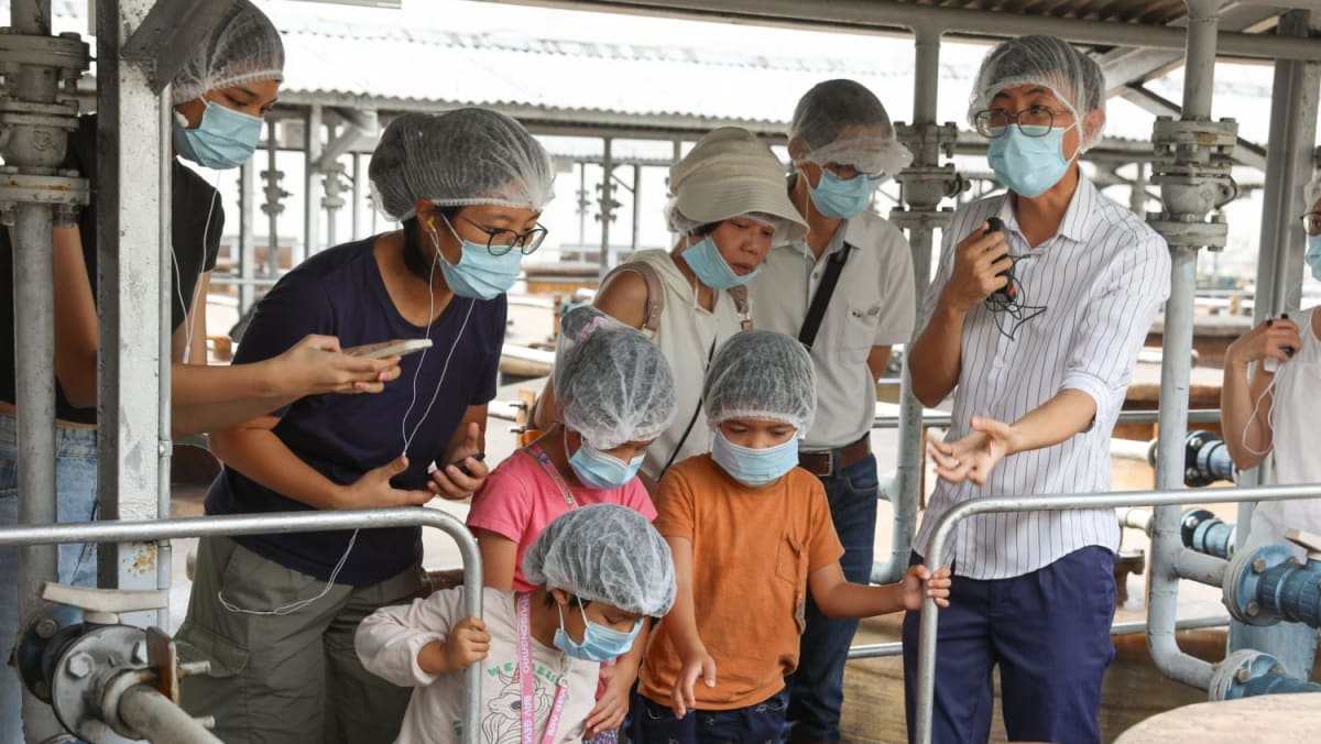 'We're fully booked': S'pore businesses offering factory tours report strong interest as visitors relish chance to peek behind the scenes todayonline.com/features/fully…