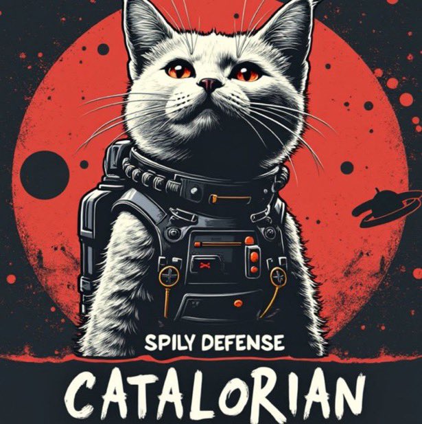 Catalorian1234's tweet photo. @CryptoRyanM @KookCapitalLLC @CatalorianOGETH @elonmusk @grok Catalorian is going to moon https://t.co/s30ayy1EZG