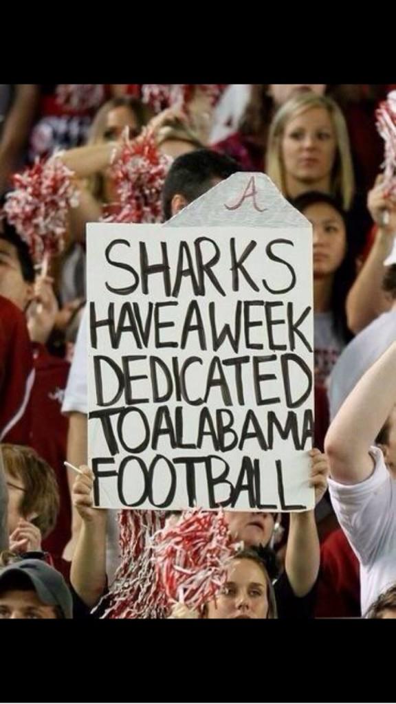 Chris Vernarsky (@verno329) on Twitter photo 