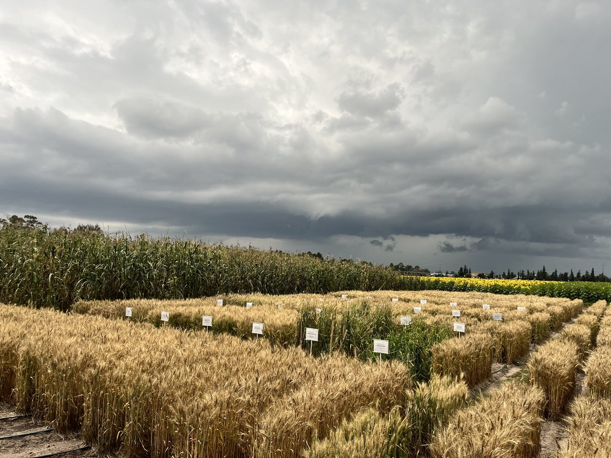 Jennifer Wilker tweet media