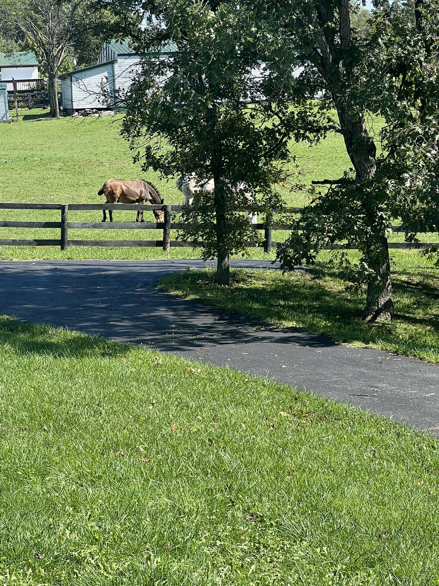 NatLangford's tweet photo. The views I get to see when I show property out in the county! #FrederickCountyVA 😍 https://t.co/mPz1psBooJ