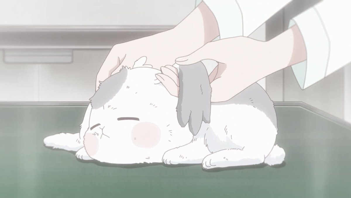 KimairaG's tweet photo. 動物組、全員拾われてる

#precure
#わんだふるぷりきゅあ https://t.co/tvQVjGxcXi
