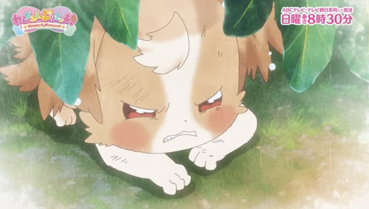 KimairaG's tweet photo. 動物組、全員拾われてる

#precure
#わんだふるぷりきゅあ https://t.co/tvQVjGxcXi