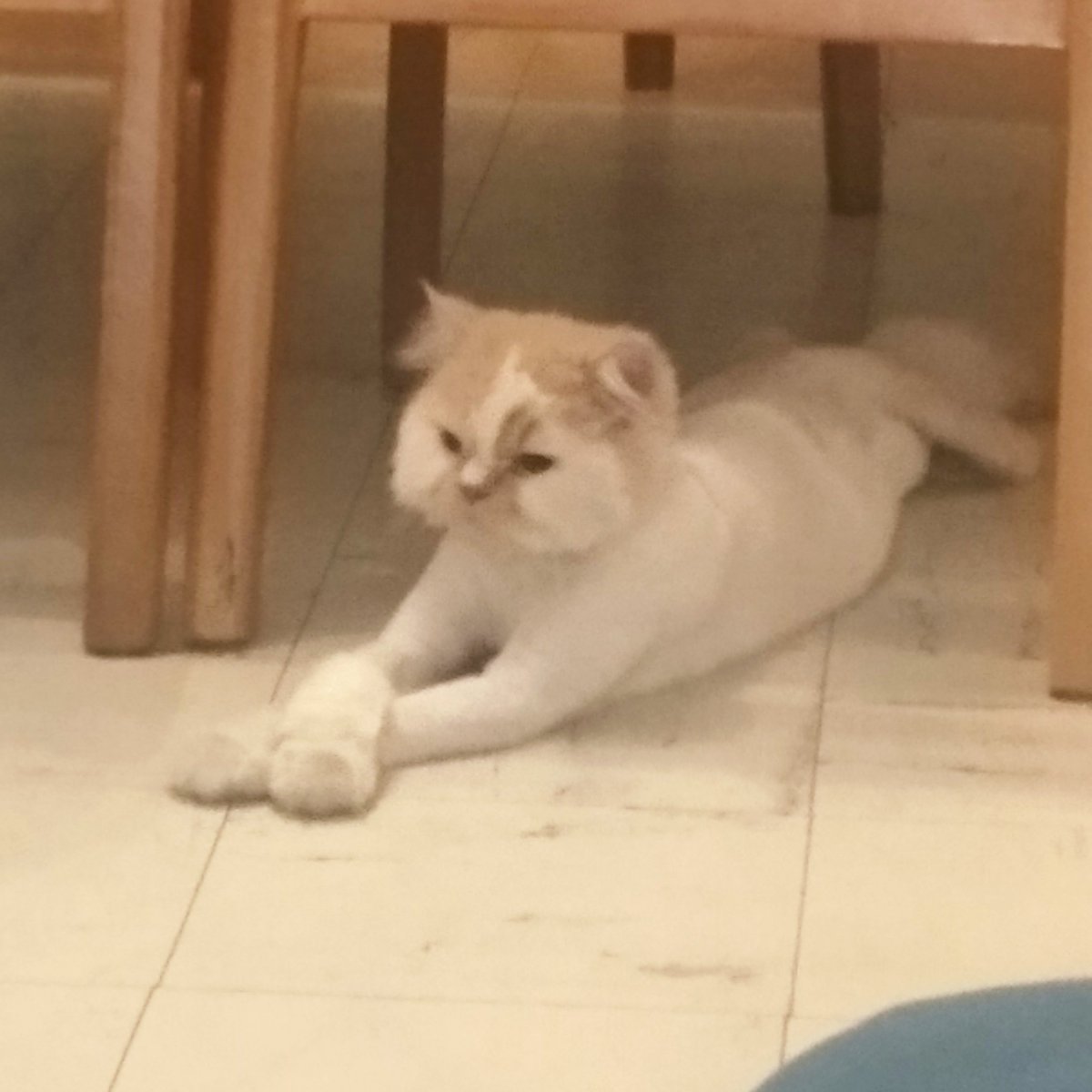 #تصویرنمایه‌جدید