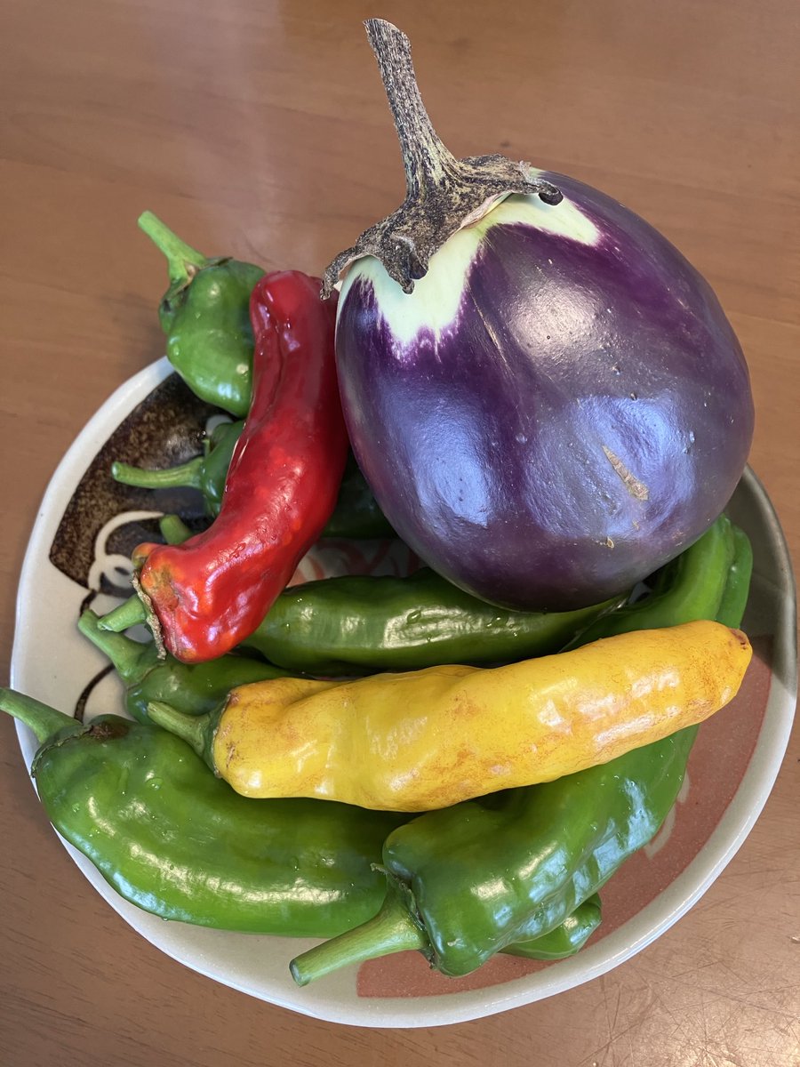 B_orange7802633's tweet photo. 夏野菜もそろそろ終わりに近づいてきたので、今日はこれからニンニク🧄を植え付けます😋 #フィレンツェナス 🍆はまた来年も作りたい🤤😋 https://t.co/U2sis3Q6Xs