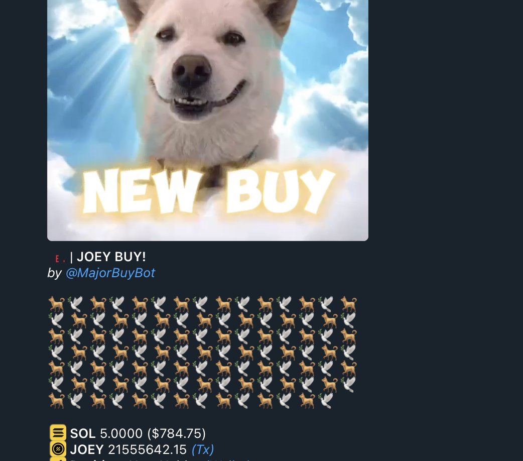 Mondoggg tweet media