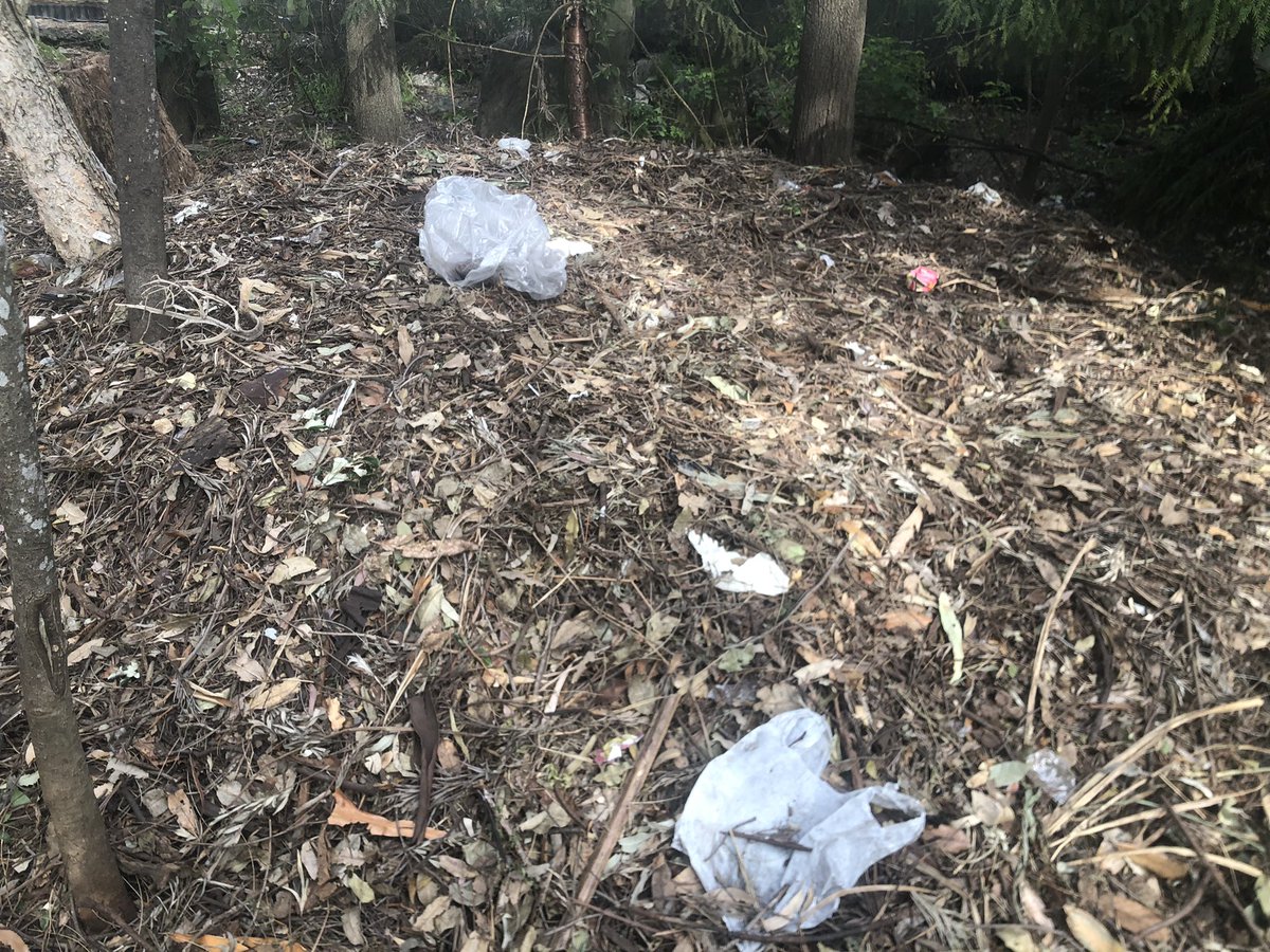 Triton214's tweet image. #Plasticpollution and #microplastic is even impacting our precious nature reserves and wildlife. A layer of plastic litter on this #BrushTurkey mound on a bushland road edge near Sydney has fortunately been cleaned up. #PackagingReform @Tanya_Plibersek @PennySharpemlc  #Auspol