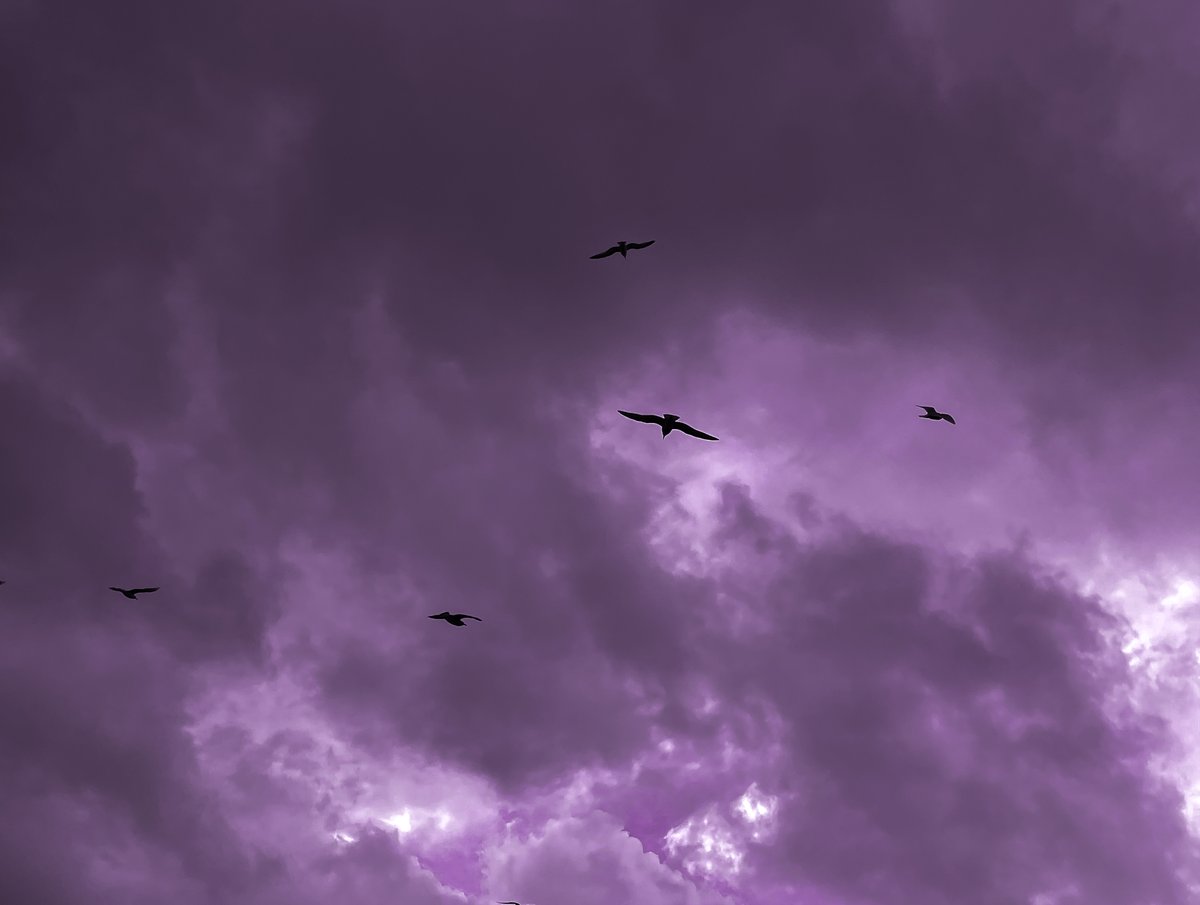 wezaaph's tweet image. كادر رايق ✨
#weza
#photography #Sky #lightroom 
.