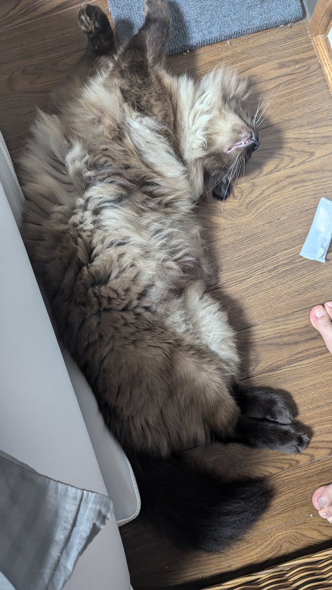 リラックス😊リラックス😊