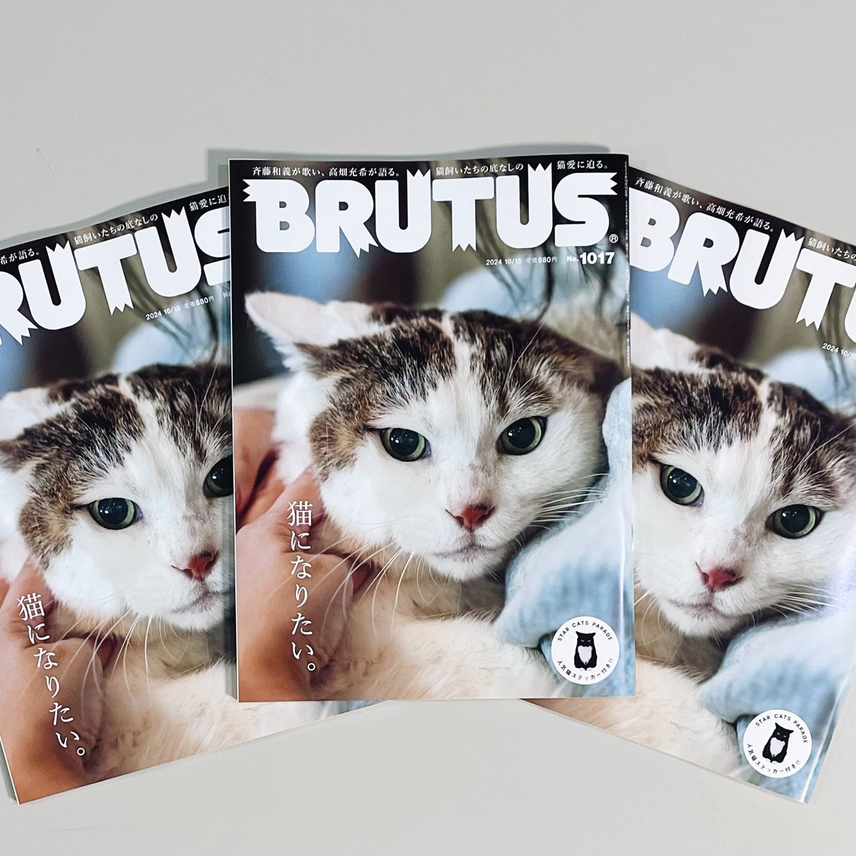 BRUTUS_mag's tweet photo. 【情報解禁】
ブルータス、次号の特集は……。

◤猫になりたい。◢

予約はこちら→https://t.co/YiNL1mgORI https://t.co/ykpBCQi8Rh