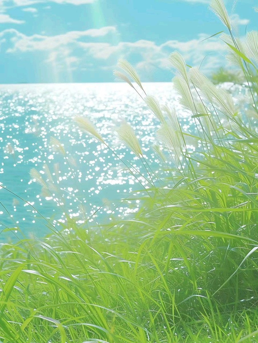 Jinwoo Hwang tweet media