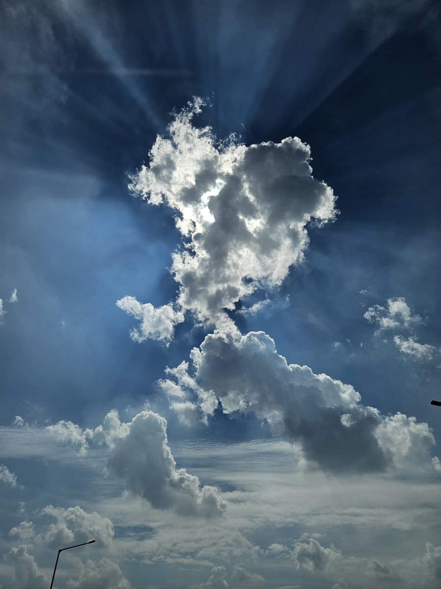 조금용 (@happylife444) on Twitter photo 