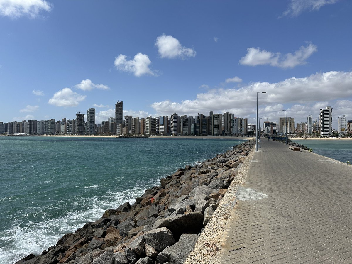 Ruth M. Barrientos tweet media