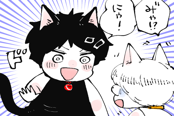 🐱キラキラにゃんこ生活
みゃっ👀⁉️ 