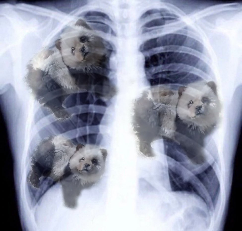dog_panda59008's tweet photo. i got that dog in me https://t.co/PGLWZ752L0