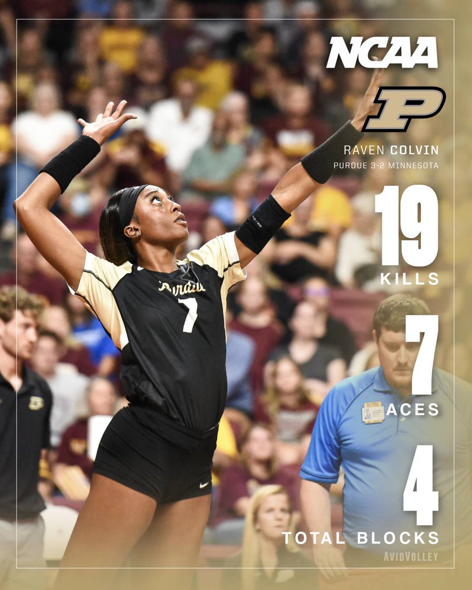 Avid (@avidvolley) on Twitter photo Raven Colvin is 𝓱𝓮𝓻
Colvin hits .387 as she and <a href="/PurdueVB/">Purdue Volleyball</a> serve their way past Minnesota🔥 Raven Colvin is 𝓱𝓮𝓻
Colvin hits .387 as she and <a href="/PurdueVB/">Purdue Volleyball</a> serve their way past Minnesota🔥