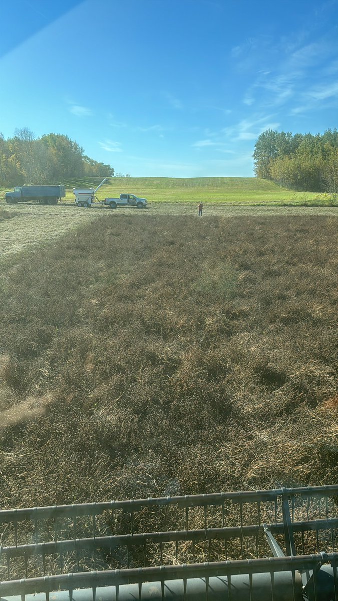Sask Forage Seed Development Commission tweet media