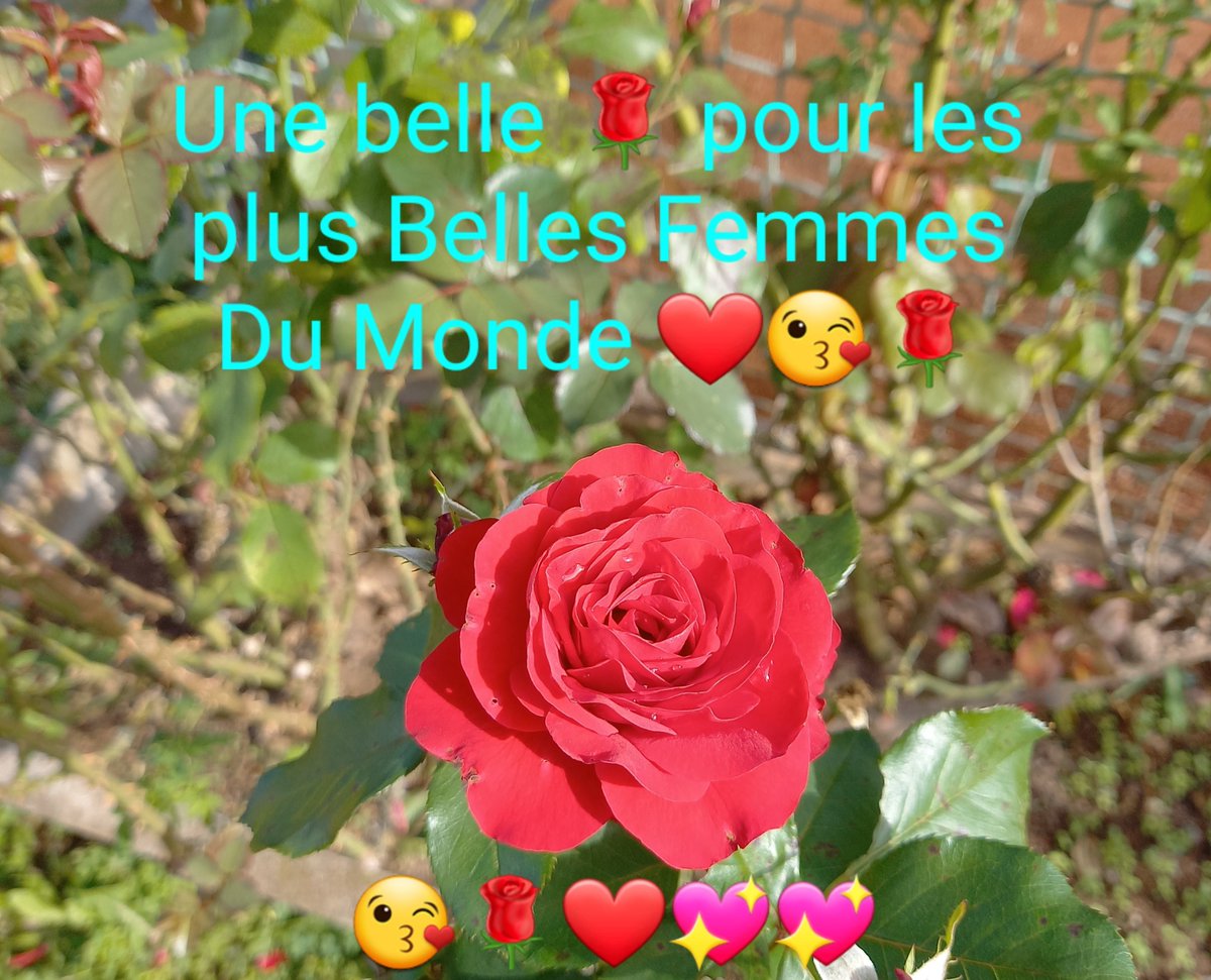 Bon Dimanche 😘🌹🥰

<a href="/Louise_du_lac/">Louise du lac (+18) louise.dl45@gmail.com</a> <a href="/EmmanuelleX_off/">Emmanuelle Worley</a> @Cherry_netteOff <a href="/candice_marchal/">Candice Marchal CMS Production X 🔞🇫🇷</a> <a href="/Sexirogenia/">Irogenia</a> <a href="/Loly_xxxx/">Loly_xxx</a> <a href="/Syrial_K/">Syrial (+18)</a> <a href="/Alro_x2/">Alrox</a> <a href="/sally_570/">Sally Valentine</a> <a href="/NissaNissax/">🇫🇷🔞 Nissa</a> <a href="/Hinatou_lib/">Hinatou officiel 🐈‍⬛😈🇫🇷🔞</a> @Zheliakarima2 <a href="/milenasteel75/">Milena Steel</a> <a href="/Sarahfarm75/">Sarahlight75</a> <a href="/LadyEsse26/">LadyEsse 🔞</a> <a href="/lyna_jade/">Lyna Jade ✨</a> <a href="/AniaKinski/">Ania Kinski</a> <a href="/Chloe_Duval_off/">Chloé Duval</a> <a href="/itsmemayarose/">Maya Rose</a>
