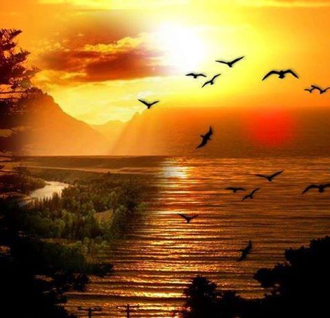 jose_11550's tweet photo. Buenos días almas libres, que tengáis un maravilloso día https://t.co/rZqI7I8MhD