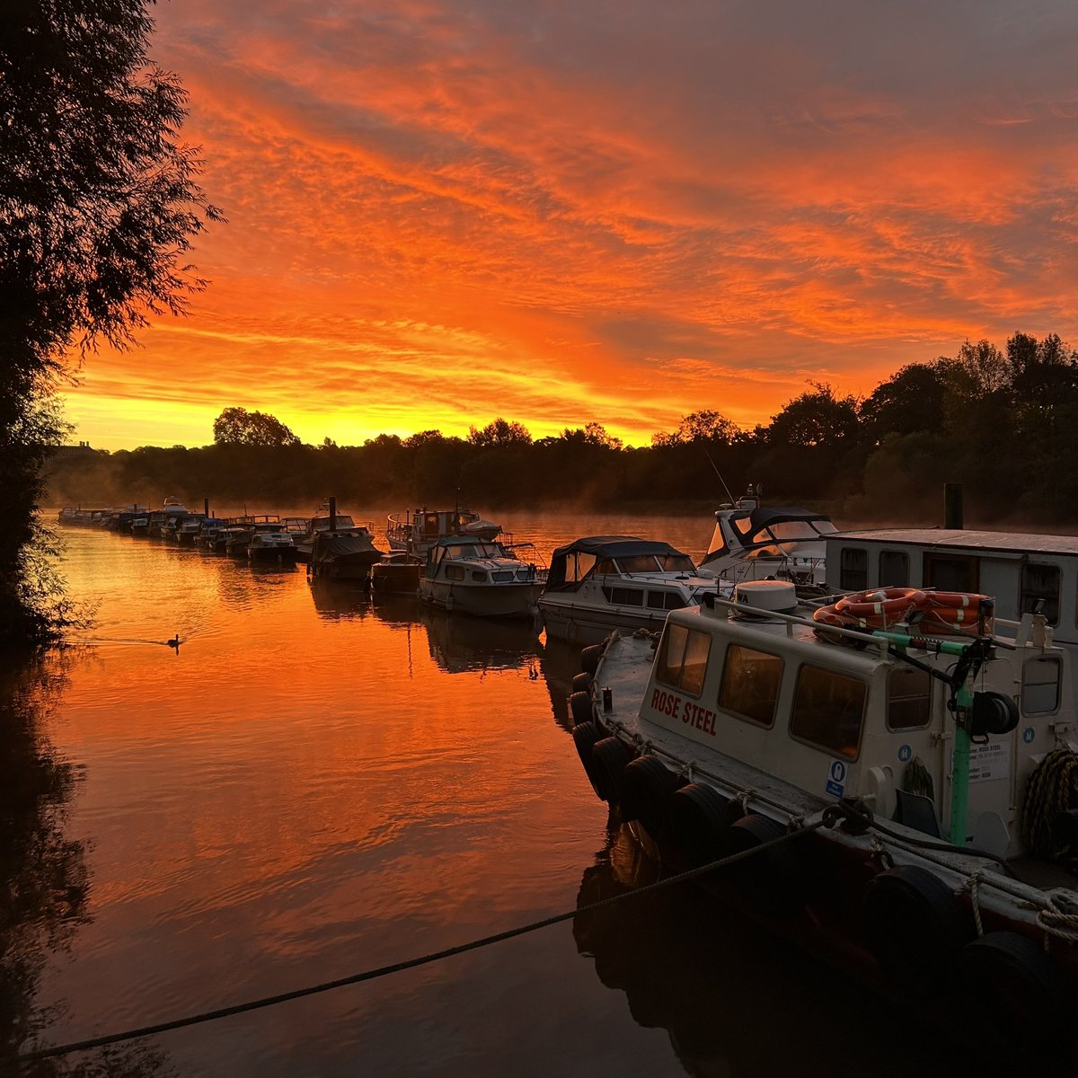 Hammertons Ferry tweet media