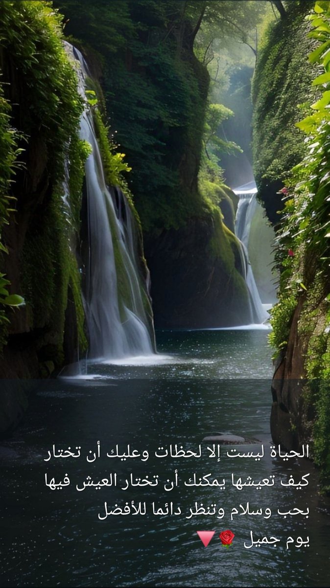 « قيس » tweet media