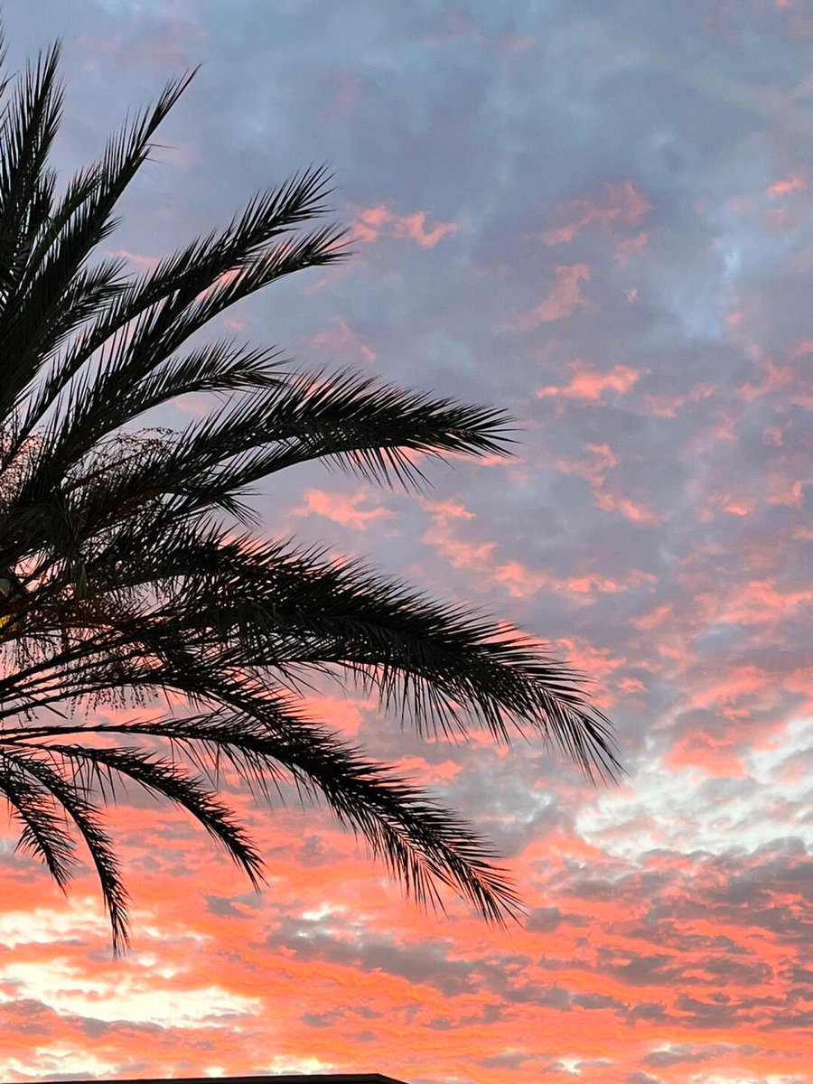 Goredio2eKN's tweet image. I think, therefore I am. – René Descartes 💭