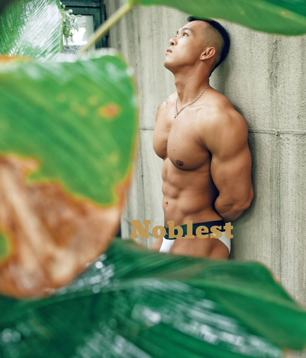 今日主题绿植肌肉